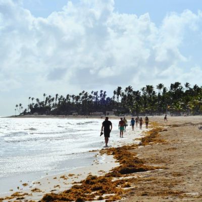 ¿En-que-meses-hay-menos-sargazo-en-Cancun